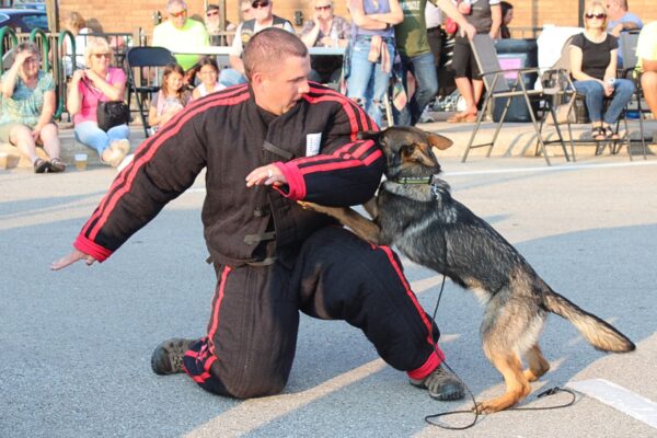 k96